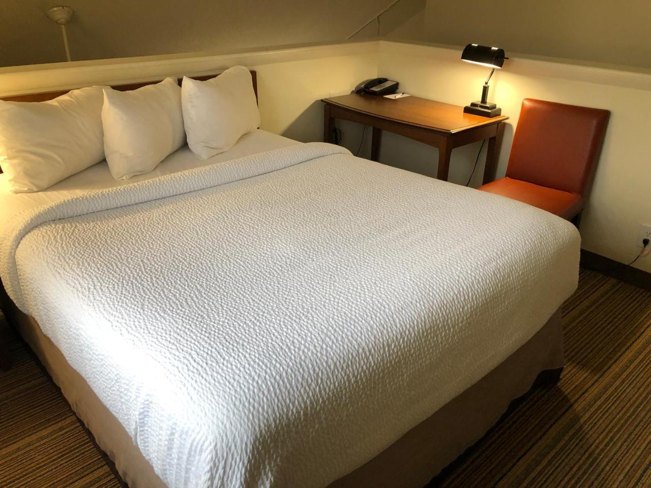 Albany Airport Inn And Suites Latham Eksteriør bilde